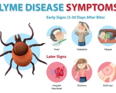 Understanding Lyme Disease: Causes, Risks, Prevention, and Safety Tips in the U.S.